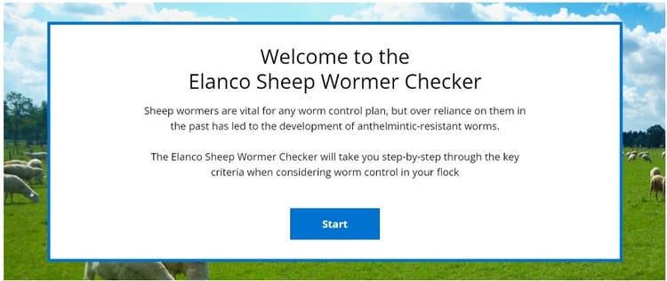 Understand the treatment and control of worms in sheep